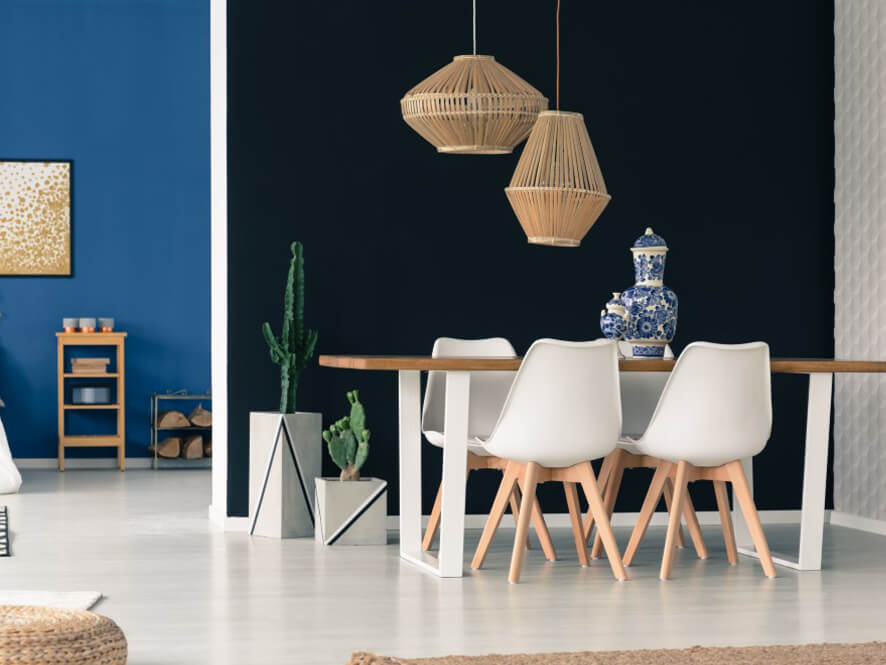 Dark Bold dining setting with pop of blue paired with light white and wooden furniture and plants